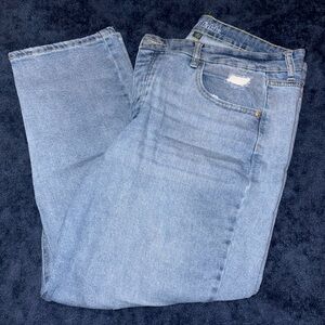 Wild Fable Classic Blue Jeans